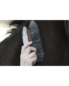 Dandy Horse Hair Brush - Wood Series 